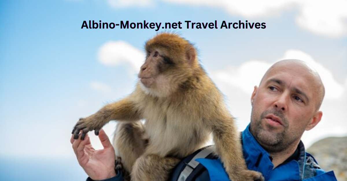 Albino-Monkey.net Travel Archives